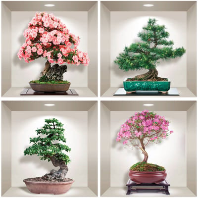 3D bonsai stickers van de 4 seizoenen, 60 x 60 cm
