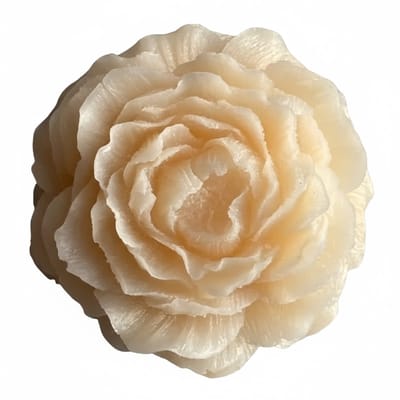 Corios Geurwax Bernstein Rose Vanilla 8x8x3cm