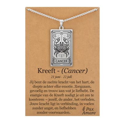 Sterrenbeeld Kreeft (Cancer) Ketting op Cadeau Kaartje Zilverkleurig - Zodiac in de stijl van Rider-Waite Tarot - Roestvrij Staal / Stainless Steel - 60cm - Pax Amare
