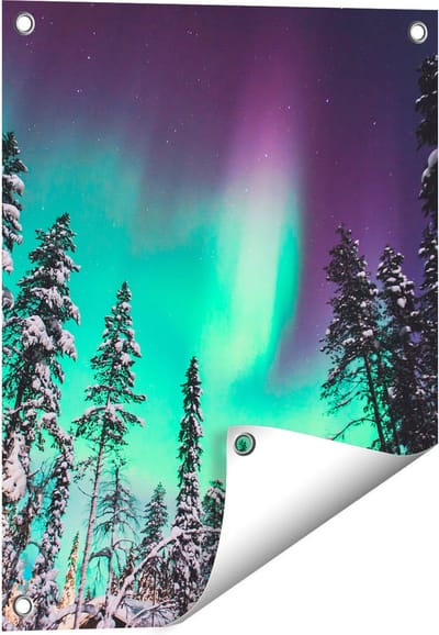 Gards Tuinposter Noorderlicht in de Bossen van Noorwegen - 40x50 cm - Tuindoek - Tuindecoratie - Wanddecoratie buiten - Tuinschilderij
