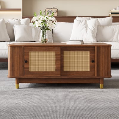 STILVORA Salontafel - Met Rattan Schuifdeuren En Opbergruimte - Voor Woonkamer - MDF In Walnootkleur - 100x50x42 Cm