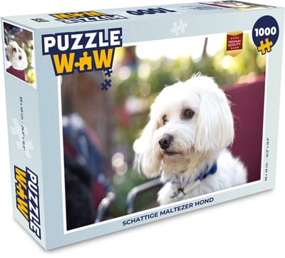 Puzzel Schattige Maltezer hond - Legpuzzel - Puzzel 1000 stukjes volwassenen