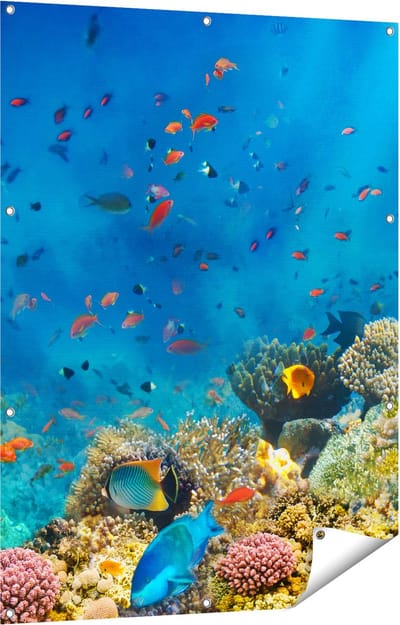 Gards Tuinposter Onderwater Vissen met Koraal in de Zee - 90x120 cm - Tuindoek - Tuindecoratie - Wanddecoratie buiten - Tuinschilderij