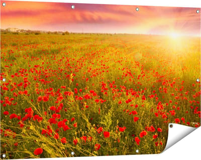 Gards Tuinposter Rode Klaproos Bloemenveld - Zonsondergang - 120x80 cm - Tuindoek - Tuindecoratie - Wanddecoratie buiten - Tuinschilderij