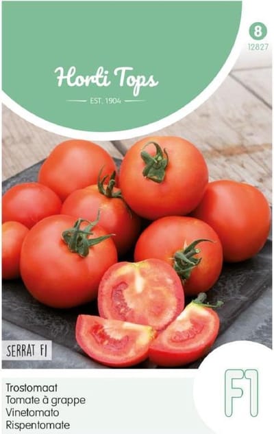 Hortitops Zaden - Tomaat Serrat F1
