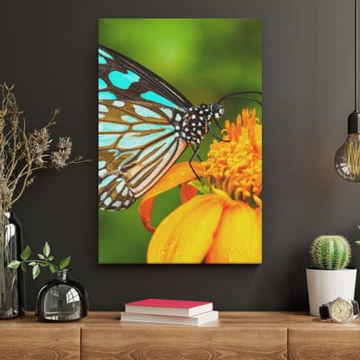 Artaza Canvas Schilderij Vlinder Op Bloem - 20x30 cm - Klein - Wanddecoratie Vlinders - Muurdecoratie Bloemen - Kamer Accessoires