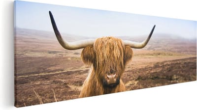 Artaza Canvas Schilderij Hooglander - 60x20 cm - Muurdecoratie Woonkamer - Wanddecoratie Schotse Hooglander - Kamer Accessoires