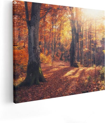 Artaza Canvas Schilderij Herfstbos - 100x80 cm - Groot - Wanddecoratie Bos - Muurdecoratie Bomen - Schilderijen Op Canvas Landschap