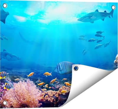 Gards Tuinposter Vissen met Haaien in de Oceaan met Koraalrif - 50x40 cm - Tuindoek - Tuindecoratie - Wanddecoratie buiten - Tuinschilderij