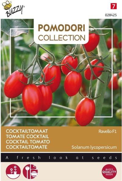 3 stuks - Buzzy - Pomodori ravello f1 (cocktailtomaat)