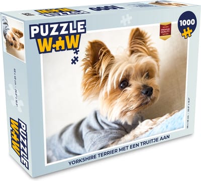 Puzzel Yorkshire Terrier met een truitje aan - Legpuzzel - Puzzel 1000 stukjes volwassenen