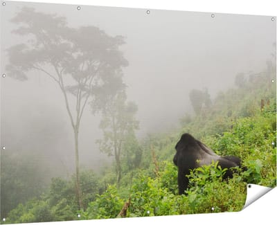 Gards Tuinposter Gorilla in het Woud tijdens de Mist - 180x120 cm - Tuindoek - Tuindecoratie - Wanddecoratie buiten - Tuinschilderij