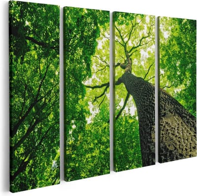 Artaza Canvas Schilderij Vierluik Boom In Het Bos Met Fel Groene Bladeren - 80x60 - Foto Op Canvas - Canvas Print
