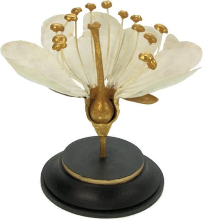 Botanische bloem wit/goudkleur 18x15x16,5cm