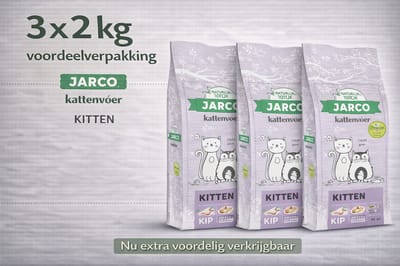 Jarco Premium Cat Vers Kitten - 3x 2kg Voordeelverpakking