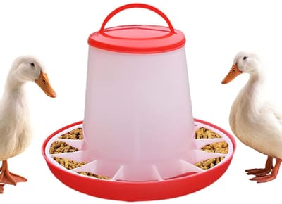Automatische Kippenvoerbak - Voerdispenser Pluimvee - Voorkomt Voedselverspilling - Afneembaar en Reinigbaar - 33x15.5x29cm - Wit