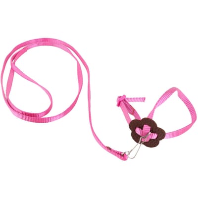 Harnais pour Oiseau Laisse pour Perroquet Réglable Oiseaux Nylon Corde Anti-Morsure pour Entraînement en Extérieur(Orange ) rose