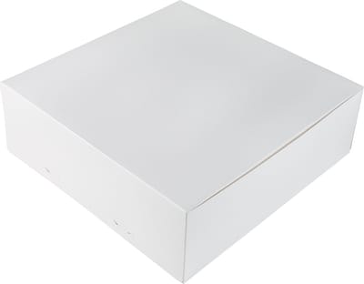 BrandNewCake® Taartdoos - 30x30x10 cm - Taartdoos Karton - Cakedoos - 3 Stuks - Wit