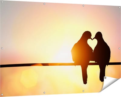 Gards Tuinposter Twee Silhouet Vogels in een Hart Vorm - 150x100 cm - Tuindoek - Tuindecoratie - Wanddecoratie buiten - Tuinschilderij