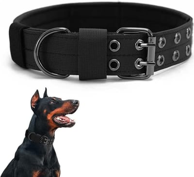 Hondenhalsband, verstelbaar, brede nylon trainingshalsband met duurzame metalen gesp, geschikt voor middelgrote tot grote honden (maat L).
