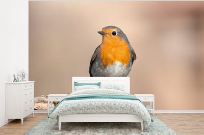 Behang - Fotobehang Roodborstje - Vogel - Tak - Dieren - Breedte 320 cm x hoogte 240 cm