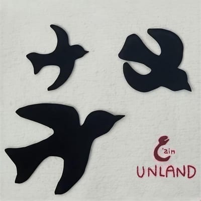 3'Ain - Unland (CD)