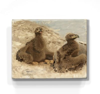 Adelaars - Bruno Liljefors - 24 x 19,5 cm - Niet van echt te onderscheiden schilderijtje op hout - Mooier dan een print op canvas - Laqueprint.