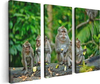 Artaza Canvas Schilderij Drieluik Groep Apen Eten Bananen In Het Bos - 120x80 - Foto Op Canvas - Canvas Print