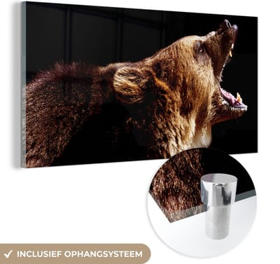 MuchoWow® Glasschilderij 40x20 cm - Schilderij acrylglas - Beer - Wild dier - Tanden - Foto op glas - Schilderijen