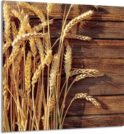 TMK ArtDeko - Serie Keuken - Glazen Paneel - 60x65 cm - Pszenica