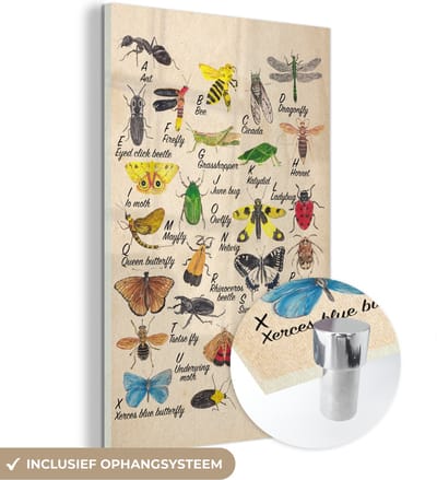 MuchoWow® Glasschilderij 120x180 cm - Schilderij acrylglas - Alfabet - Insecten - Educatief - Retro - Bruin - Jongens - Meid - Kinderen - Foto op glas - Schilderijen