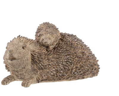 Egel Mama met kind