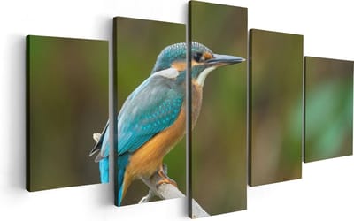 Artaza Canvas Schilderij Vijfluik Blauwe IJsvogel Op Een Tak - 100x50 - Foto Op Canvas - Canvas Print