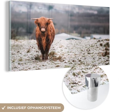 MuchoWow® Glasschilderij 40x20 cm - Schilderij acrylglas - Schotse Hooglander - Sneeuw - Berg - Foto op glas - Schilderijen