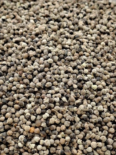 Monnikspeper (Vitex agnus castus)100g