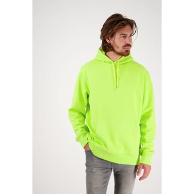 RAIZZED Newton Lizard Green Maat: XS | Hoodies Outlet | Heren | Groen