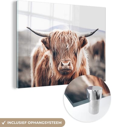 MuchoWow® Glasschilderij 120x90 cm - Schilderij acrylglas - Schotse Hooglander - Berg - Hoorn - Foto op glas - Schilderijen