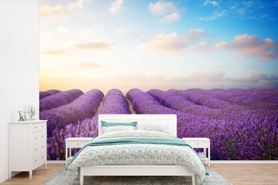 Behang - Fotobehang Lavendel - Lucht - Wolken - Bloemen - Breedte 360 cm x hoogte 240 cm