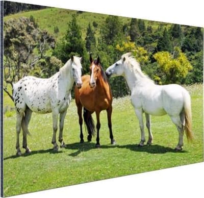 Wanddecoratie Metaal - Aluminium Schilderij Industrieel - Paarden - Boom - Schaduw - 80x60 cm - Dibond - Foto op aluminium - Industriële muurdecoratie - Voor de woonkamer/slaapkamer