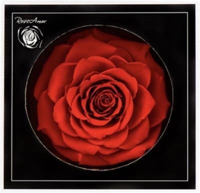 Moederdag tip - Echte Longlife rose Box - minimaal 2 jaar lang - Roos - Longlife Roos 'rood' in Luxe Giftbox - Geen - Love - Eeuwige Roos