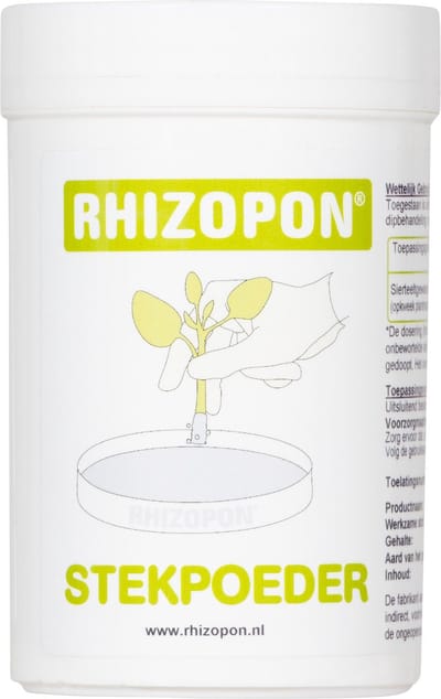 RHIZOPON CHRYZOTOP GROEN STEKPOEDER 0.25% 25 GRAM