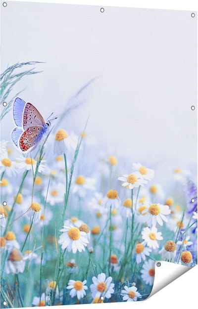 Gards Tuinposter Witte Kamille Bloemen met een Vlinder - 90x120 cm - Tuindoek - Tuindecoratie - Wanddecoratie buiten - Tuinschilderij