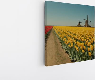 Saammp Canvas Schilderij - Landschap - Rode en gele tulpen- Natuur - 20x20 - Foto op canvas - Wanddecoratie - Muurdecoratie Woonkamer - Slaapkamer decoratie - Canvas Print