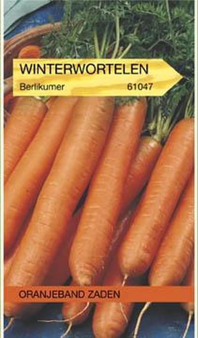 Winterwortelen Berlikumer 2