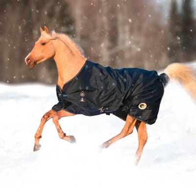 Outdoor paardendeken HorSeven 0g