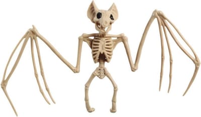 Horror decoratie skelet vleermuis - 30 x 16 cm - Halloween decoratie dieren - Vleermuizen geraamte