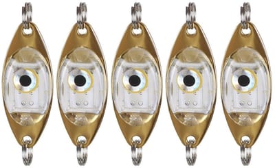 Dailygoods- Vissenloklicht 5 Stuks - Onderwater LED - Zoutwater/Zooetwater - Robuuste Acryl Behuizing - Lange Levensduur 300 Uur - Vijf Lichtkleuren - Visserslamp