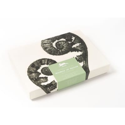 Wonders Of Nature - Correspondence Set - Pepin van Roojen