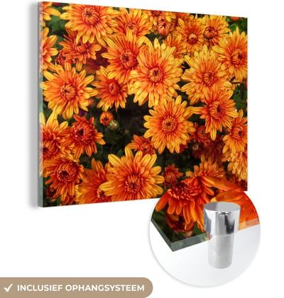 MuchoWow® Glasschilderij 160x120 cm - Schilderij acrylglas - Bloemen - Oranje - Chrysant - Foto op glas - Schilderijen