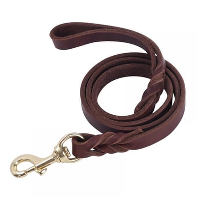 Dailygoods- Hondenriem Lederen - Hondenriem voor Grote/Middelgrote Honden - Zware Sluiting - Handgemaakt Gevlochten Leer - Betrouwbaar en Comfortabel - Hondentuig
